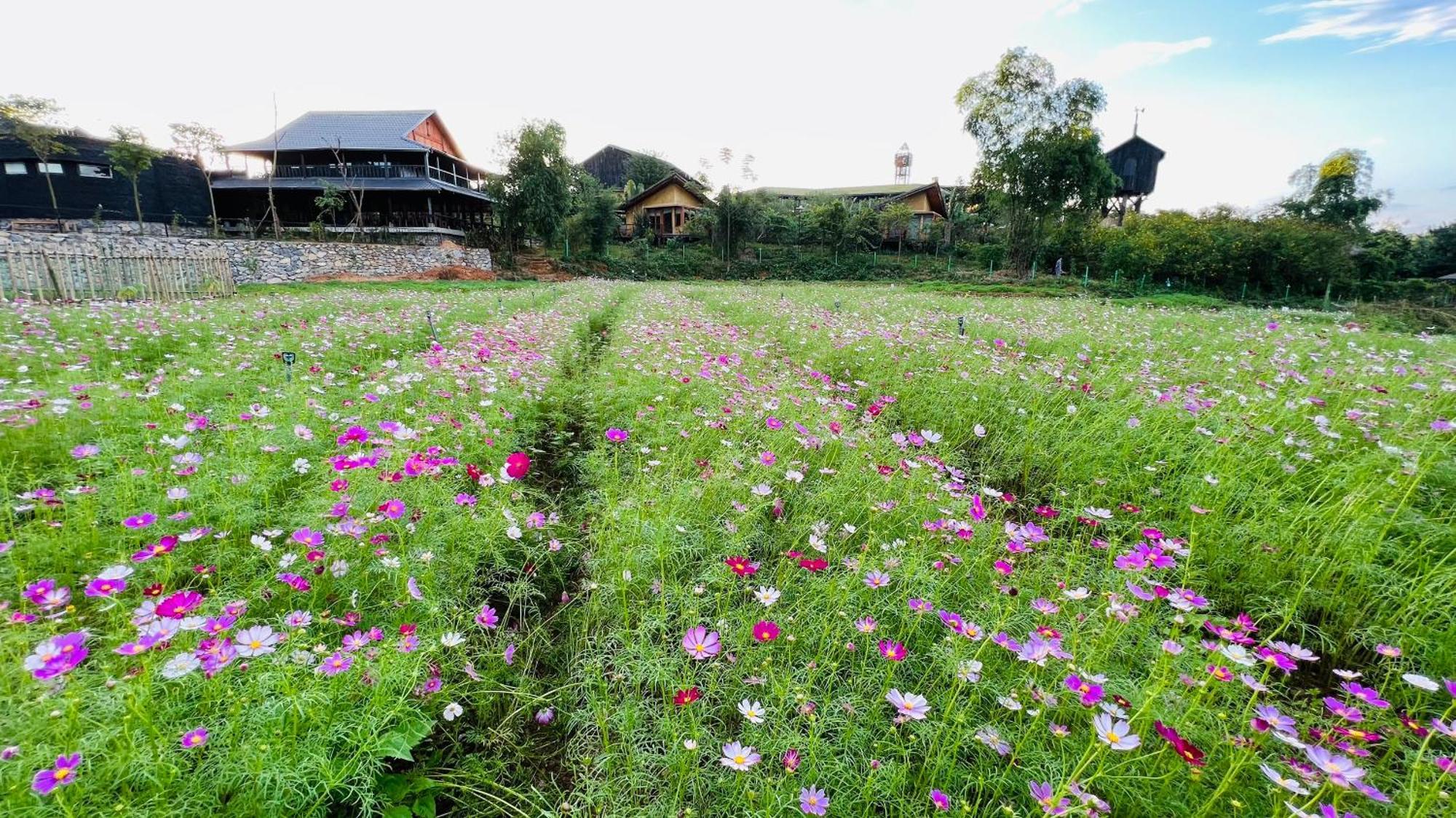 Satoyama Village Luong Son  Bagian luar foto