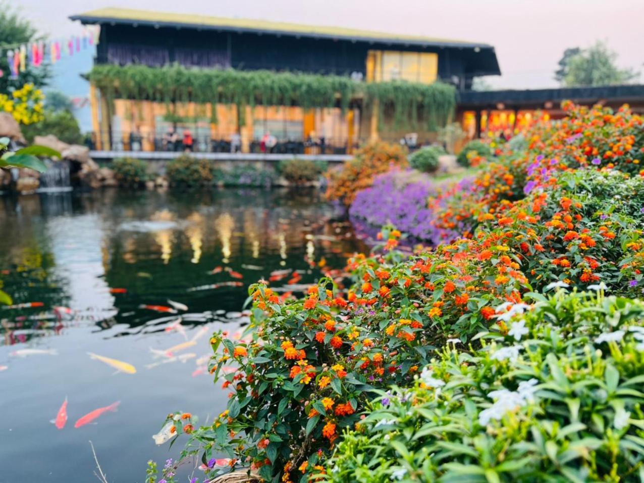 Satoyama Village Luong Son  Bagian luar foto